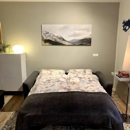 Cosy One Bedroom Apartment In Reykjavík Eksteriør billede